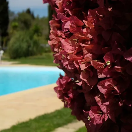 Few Steps To The Alvor