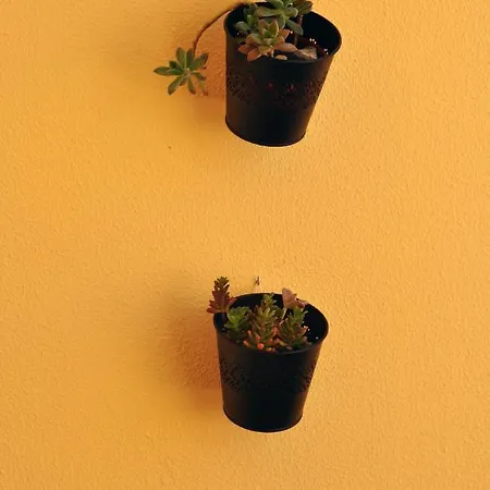 Few Steps To The Apartamento