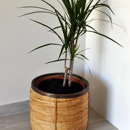 Few Steps To The Apartamento *