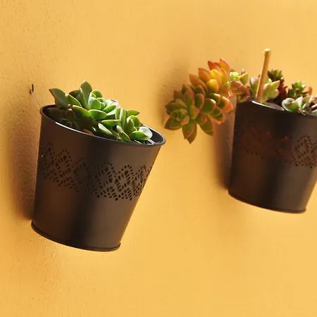 Appartement Few Steps To The Alvor